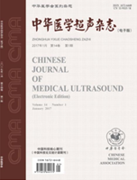 中华医学超声杂志（电子版）