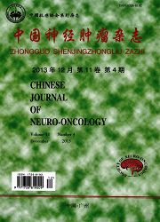 中国神经肿瘤杂志