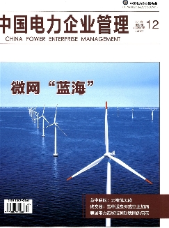 中国电力企业管理