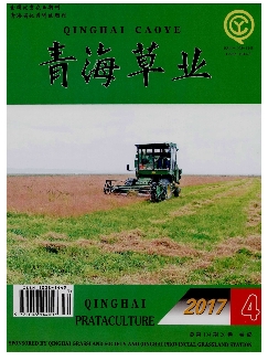 青海草业