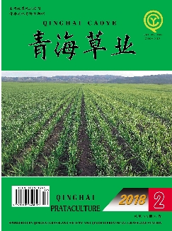 青海草业